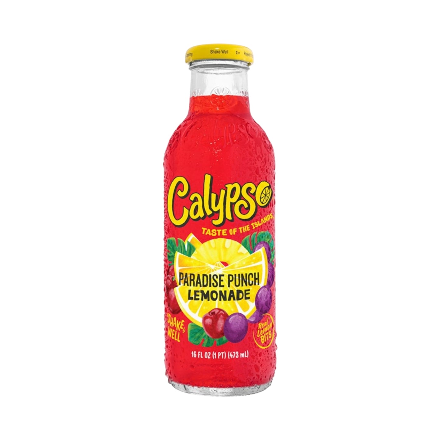 Calypso Paradise Punch Lemonade - 16fl.oz (473ml)