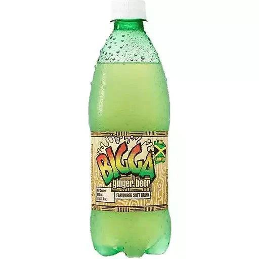 Bigga Ginger Beer Soft Drink 600ml